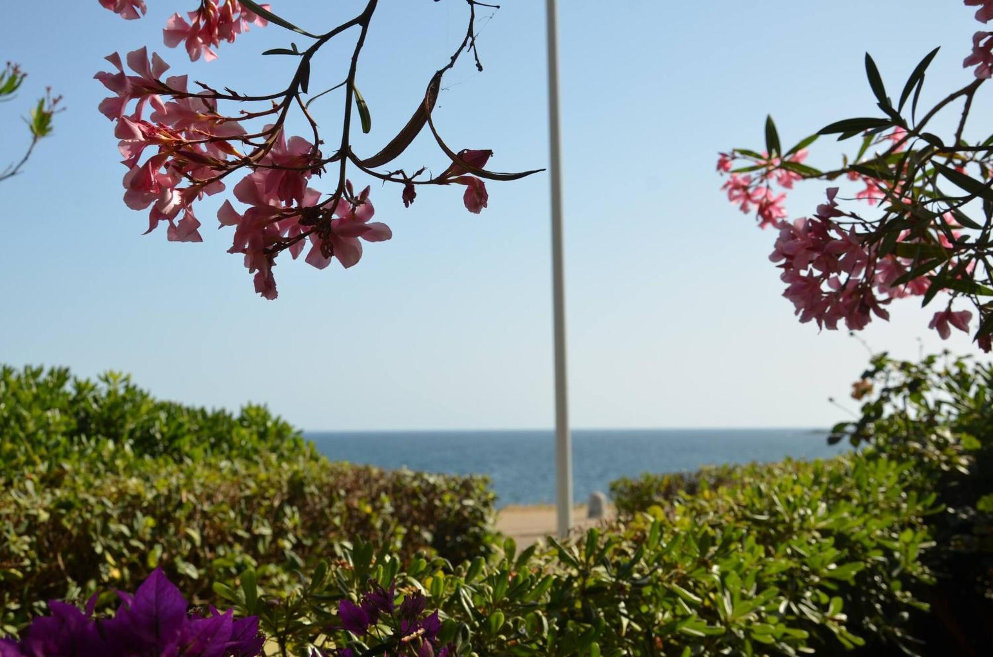 Fantastic Sardinia Villette Con Giardino Fronte Mare Fertilia Faho-Gav01-Gav02 Exterior foto